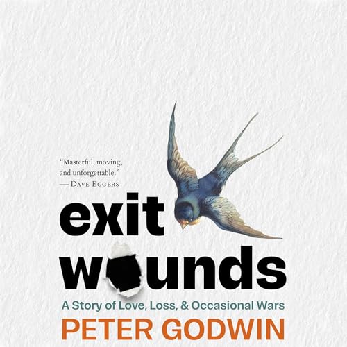 Exit Wounds Audiobook By Peter Godwin cover art