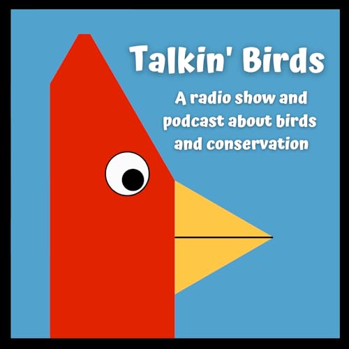 Talkin' Birds Podcast By Ray Brown's Talkin' Birds cover art