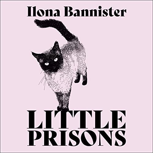 Little Prisons cover art