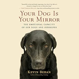 Your Dog Is Your Mirror Audiolibro Por Kevin Behan arte de portada