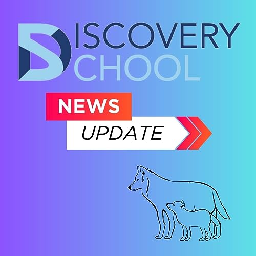 Discovery School Weekly podcast cover art