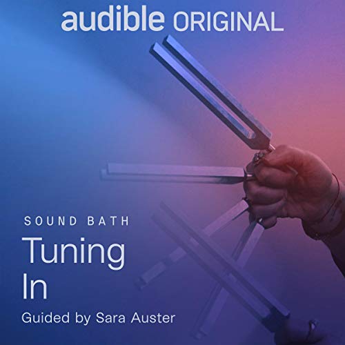 Tuning In Audiobook By Sara Auster cover art