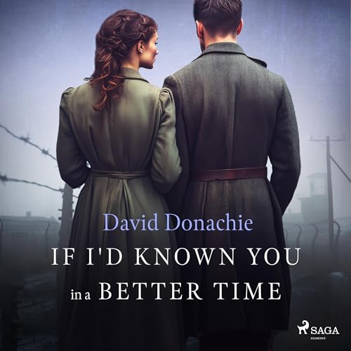 Diseño de la portada del título If I'd Known You in a Better Time