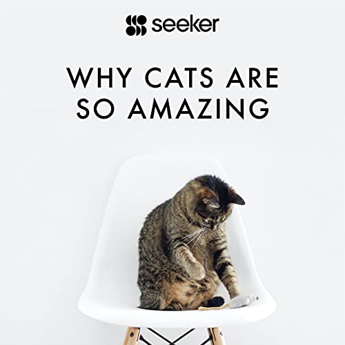 Why Cats Are So Amazing Audiobook By Seeker cover art