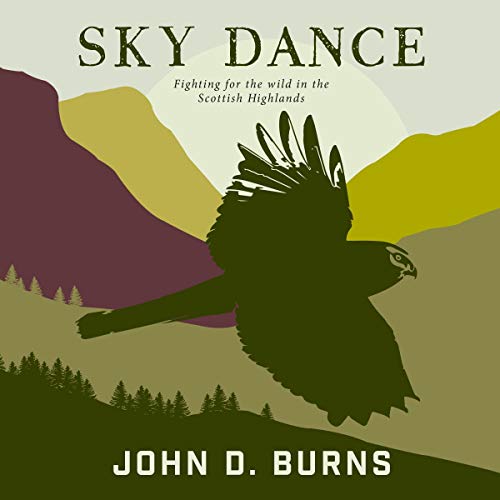 Sky Dance Audiolivro Por John D. Burns capa