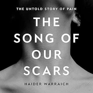 The Song of Our Scars Audiolibro Por Haider Warraich arte de portada