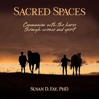 Sacred Spaces Audiolibro Por Susan D. Fay PhD arte de portada