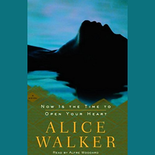 Now is the Time to Open Your Heart Audiolibro Por Alice Walker arte de portada