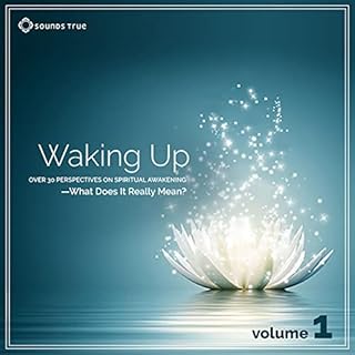 Waking Up: Volume 1 Audiobook By Tara Brach, Reggie Ray, Sally Kempton, Loch Kelly, Eckhart Tolle, Jack Kornfield cover art