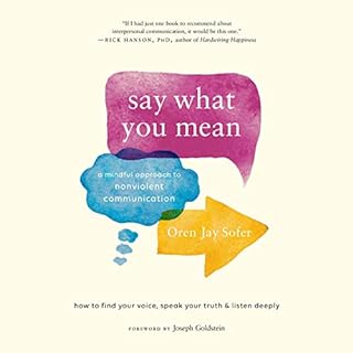 Say What You Mean Audiolibro Por Oren Jay Sofer, Joseph Goldstein arte de portada