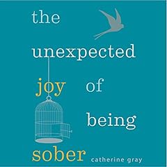 The Unexpected Joy of Being Sober cover art