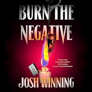 Burn the Negative Audiolibro Por Josh Winning arte de portada