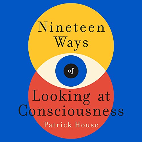 Nineteen Ways of Looking at Consciousness cover art