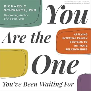 You Are the One You've Been Waiting For Audiolibro Por Richard Schwartz PhD arte de portada