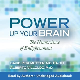 Power Up Your Brain Audiolibro Por David Perlmutter, Alberto Villoldo arte de portada