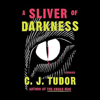 A Sliver of Darkness Audiobook By C. J. Tudor cover art