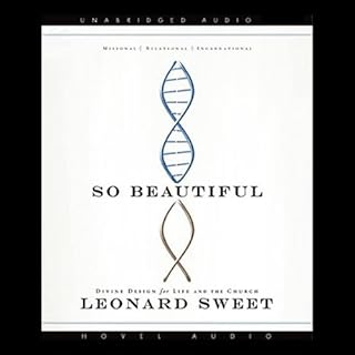 So Beautiful Audiobook By Leonard Sweet cover art