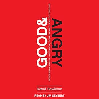 Good and Angry Audiolibro Por David Powlison arte de portada