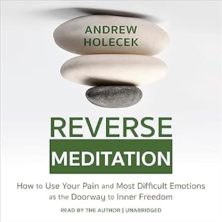 Reverse Meditation Audiobook By Andrew Holecek cover art