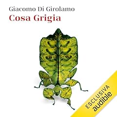 Cosa grigia copertina