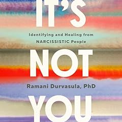 Couverture de It's Not You