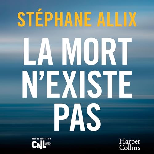 La mort n'existe pas cover art