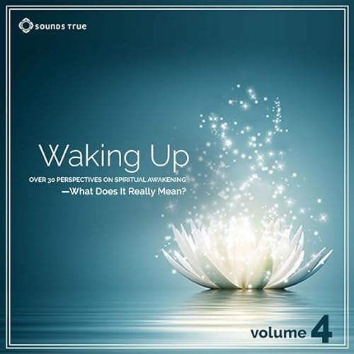 Waking Up: Volume 4 cover art