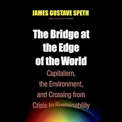 The Bridge at the End of the World cover art