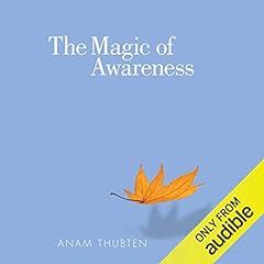 The Magic of Awareness cover art