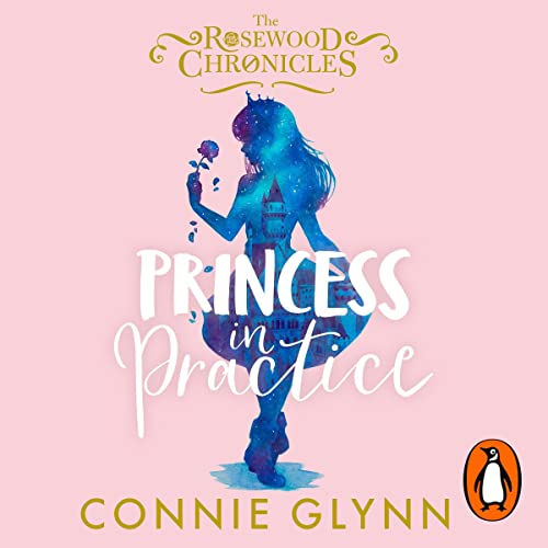 Princess in Practice cover art