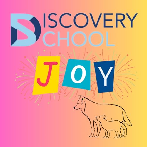 The Joy of Discovery cover art