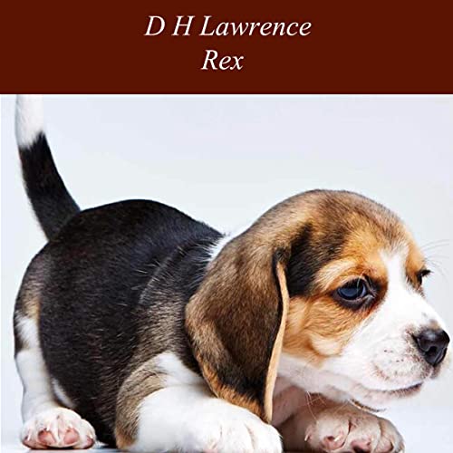 Rex Audiolibro Por D.H. Lawrence arte de portada