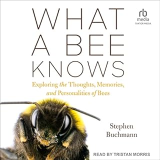 What a Bee Knows Audiolibro Por Stephen Buchmann arte de portada