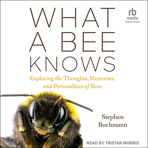 What a Bee Knows Audiolibro Por Stephen Buchmann arte de portada