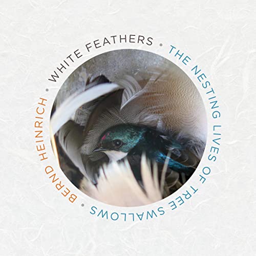 White Feathers Audiolibro Por Bernd Heinrich arte de portada