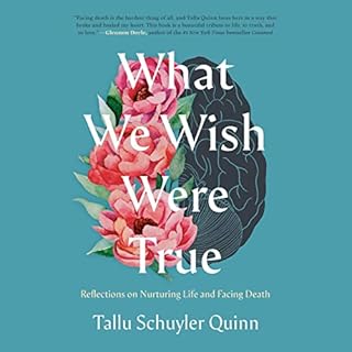 What We Wish Were True Audiolibro Por Tallu Schuyler Quinn arte de portada