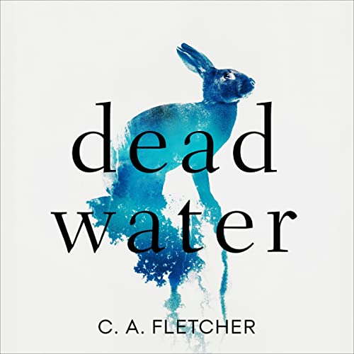 Dead Water cover art