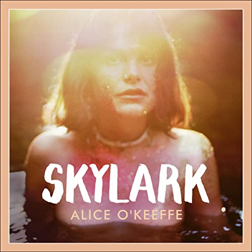 Skylark cover art