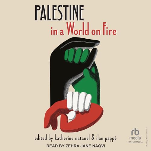 Palestine in a World on Fire Audiobook By Ilan Pappe - editor, Katherine Natanel - editor cover art