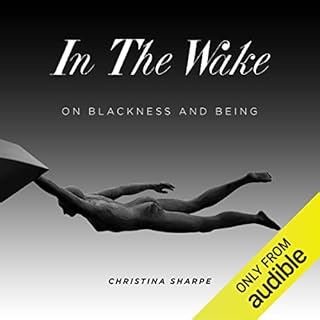 In the Wake Audiobook By Christina Sharpe cover art