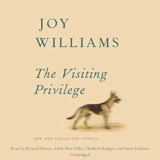 The Visiting Privilege Audiobook By Joy Williams cover art