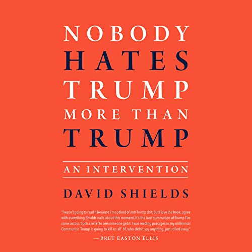 Page de couverture de Nobody Hates Trump More than Trump: An Intervention