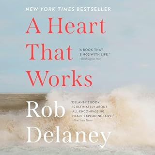 A Heart That Works Audiobook By Rob Delaney cover art