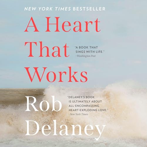 A Heart That Works Audiolibro Por Rob Delaney arte de portada