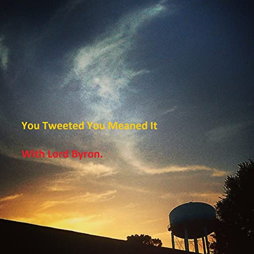 Page de couverture de You Tweeted You Meaned It