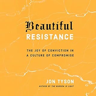 Beautiful Resistance Audiolibro Por Jon Tyson arte de portada