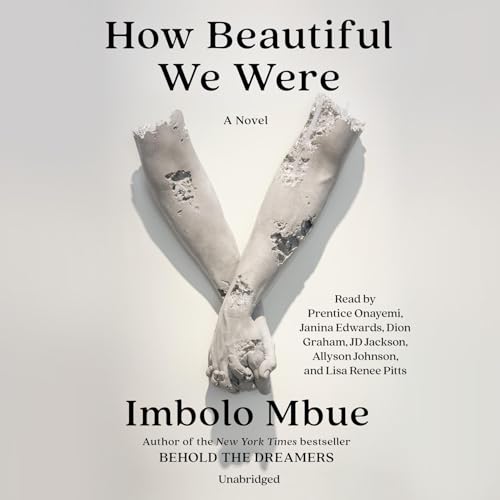 Couverture de How Beautiful We Were