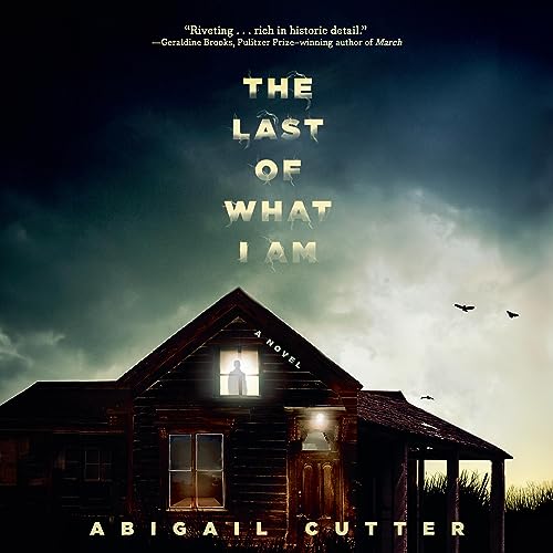 The Last of What I Am cover art