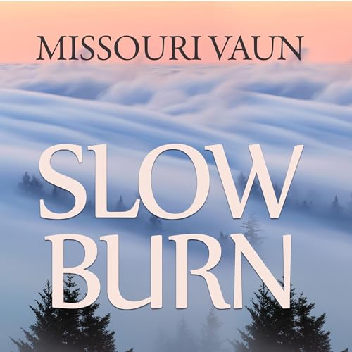 Slow Burn Audiolibro Por Missouri Vaun arte de portada