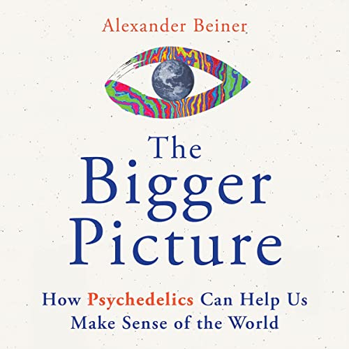 The Bigger Picture cover art